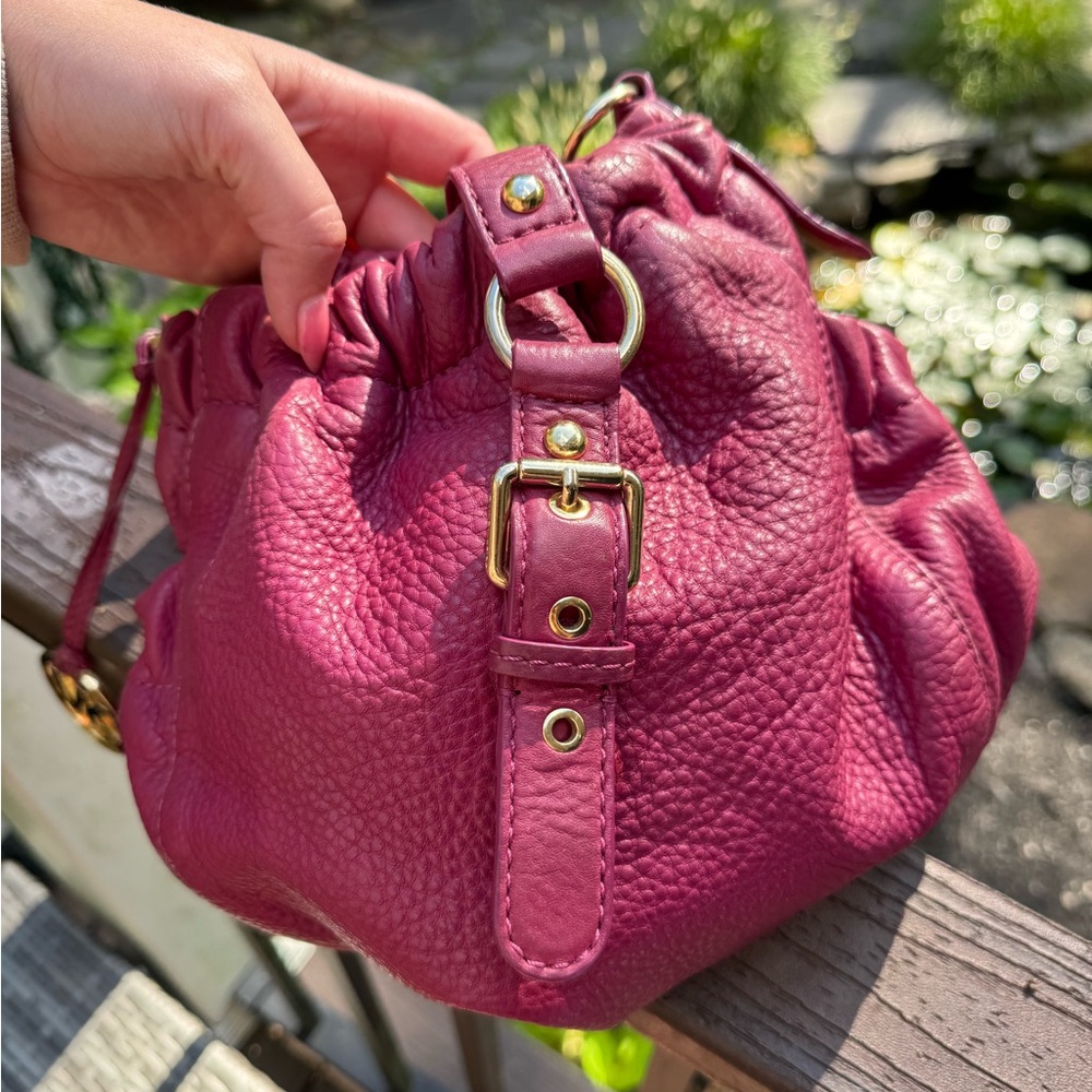Michael Kors Berry Leather Mini Bag
